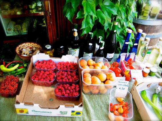 Illmitz, 13 juillet 2013