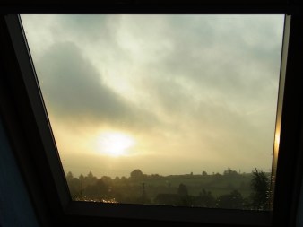 Vendredi matin, 7h53. Pas de pluie, chouette! 　散歩の日の朝はお天気が気にかかります。朝７時５３分。