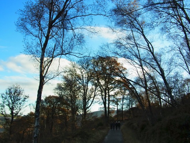 9時20分ぐらいに歩きはじめて、20分ぐらいで丘の上のほうまで上がってきたところです。Au bout de 20 minutes, on est en haut de la colline de Derrybawn.