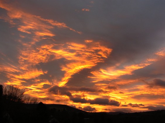 夕方　自宅でのんびりしてたら・・・　こんなすごい夕焼けでした。Dans l'après-midi... c'était tout d'un coup des couleurs dorées dans le ciel!  16h22, 26 novembre. 