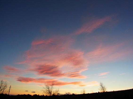 11月27日 朝7時54分