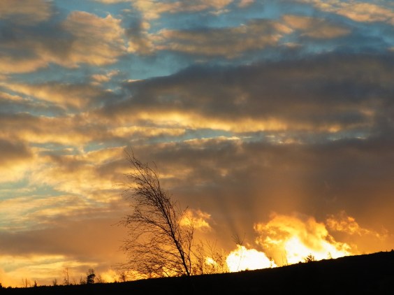 12月10日　８時５５分。 Le 10 décembre, 8h55.