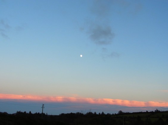 12月1３日　夕方16時９分　登ってきたお月さん。　 La lune qui monte, à 16h09, le 13 décembre.