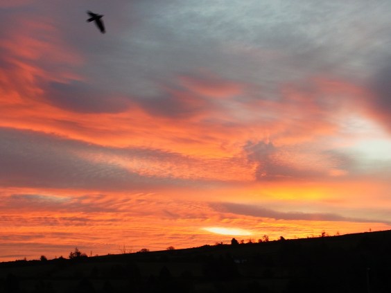 12月20日　朝８時２６分。Le même jour.. à 8h26.