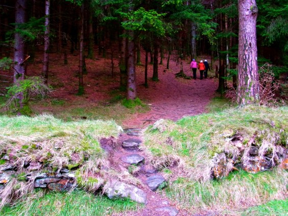 9:38 am Start the way up the hill. Steeeeeeeep!!! 登り始め（９時３８分）林のなかの急な上り坂