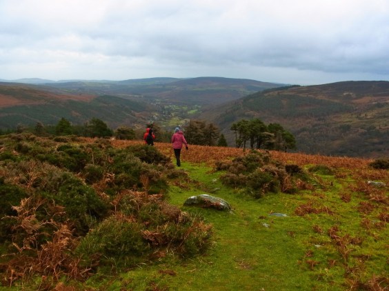 Start going down the hill... 10:16 am すごい強風！！頂上に行くのはあきらめて、下りはじめ。１０時１６分。