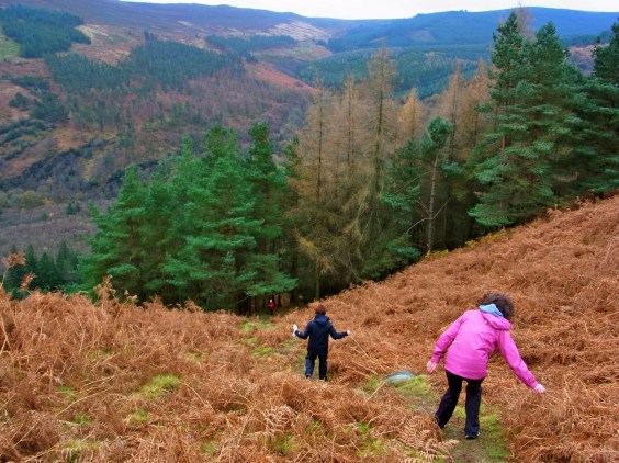 どんどん下る〜　急坂。10:28 am Steeeeeep down the sheep path!!