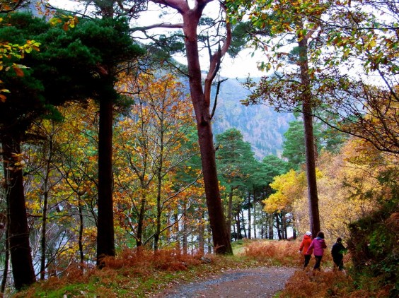 10時44分。ふつうの道のあるところまで下ってきて、ほっとして歩いてるところ。Waaaaa it feels good to be on a flat ground!! 10:44