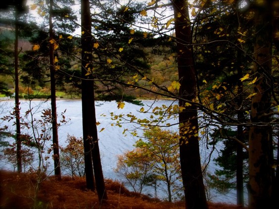 Beautiful Upper Lake. WIndy... 「上の湖」の水面が風で波立っていました。