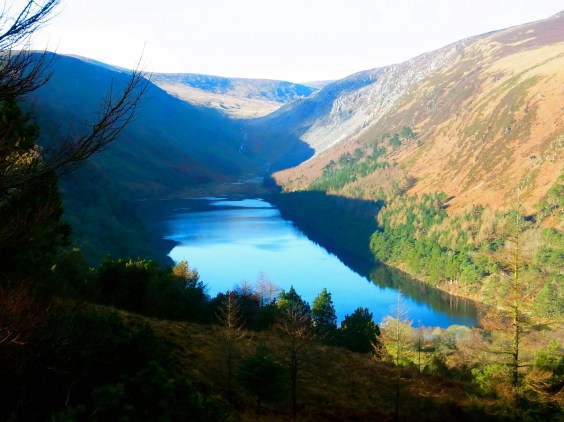 風もなく静かな朝 ほとんど人に会いません。