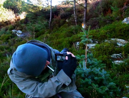 ベンチのある高台で休憩してたら、愛嬌たっぷりなコマドリちゃんが大歓迎してくれました。