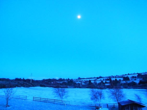 Snow evening!!  0211pm2231 雪が降った夜　2月11日　午後２２時３１分。