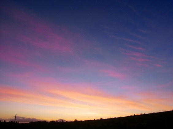 0222am0715 ネコが大きな手でひっかいたみたい。