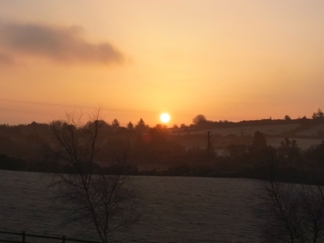 le 12 mars, à 7h14. Tout gelé!!  ３月12日　朝７時１４分。霜で真っ白。