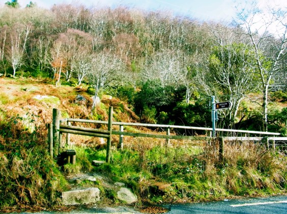 １０時４５分　谷底の道沿いまで降りてきました。いつもお茶をするグレンダロッホホテルの裏側です。  10h45. Nous sommes arrivées en bas de la colline, juste derrière le site monastique et l'hôtel Glendalough, notre lieu de thé-scones... 