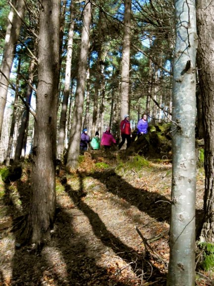 The great photograph Anne's photo 'Fit biddies heading down' どんどん下り坂を歩く散歩仲間グループ（緑のsachanも）
