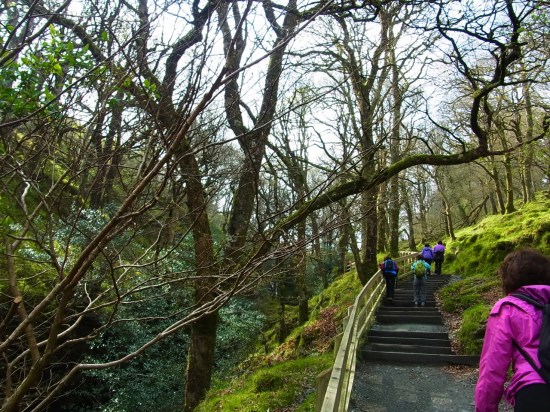 谷川を遡る道をとって上り坂です。午前１０時３６分。 On commence à grimper petit à petit. 10h36.