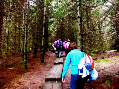 On attaque les escaliers dans le bois. 10h46. 10時４６分　森の中の階段をどんどん登ります。「とんがり山」の裏側です。裏から登って、尾根道の湖の見える側に出るというわけ。