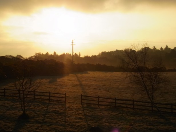 7h02, tout d'un coup, une couche de brûme... ７時０２分。急に霧がわいてきました。