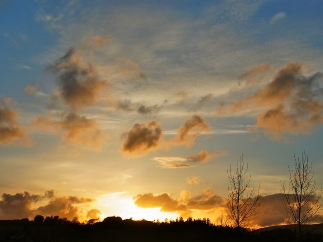 ４月23日　２０時１６分の夕焼け。西日に庭の桜の花がきれいに映えていました。 le 23 avril à 20h16. Les cerisiers sont en pleine floraison. 