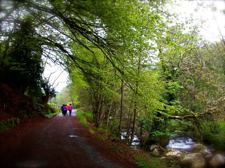 朝９時３２分。川沿いの道を歩き始め。9h32, on a juste commencé à remonter la vallée, le long du petit courant Glendasan.