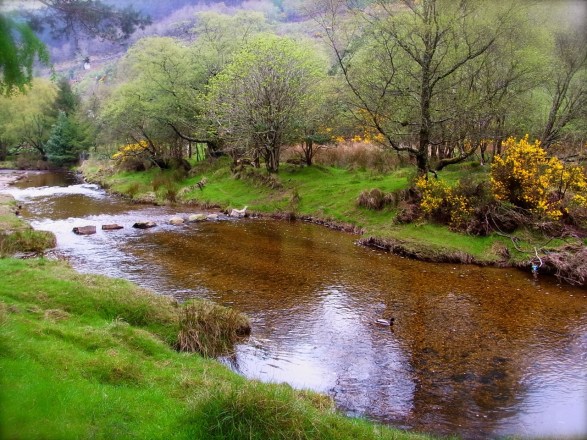 ９時３６分　川沿いの景色。