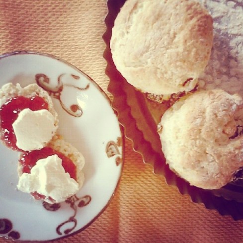 ちびっこスコーンと普通サイズ♪　 mini scone for sachan and mega (actually normal size) scones for Bernie...