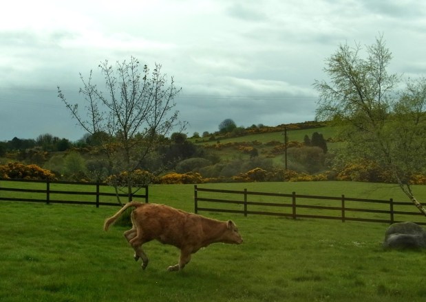 ひとりかけっこしてる。Plein d'entrain!!! 