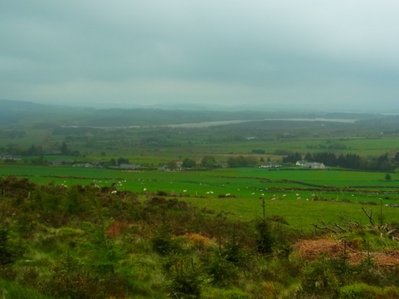 最初は森のなかでしたが、少し景色がひらけると、ラウンドウッドの村の近くの貯水池がよく見えます。19世紀の終わりごろにダムを作って川をせきとめて出来たのだそうです。On voit de loin le réservoires de Roundwood. C'est qu'on a fait un barrage à la fin du 19ème siècle pour faire ces réservoires, paraît-il.