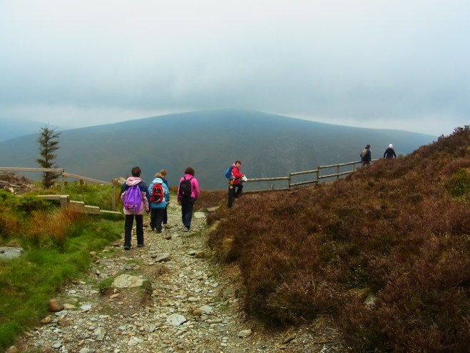 10時48分。向こう側の山が見える道に出て、急に眺めがひらけてきました。10h48 Tout d'un coup, on a une perspective très ouverte sur la vallée. 