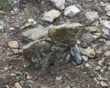 Brid found an Elephant on the road!! :)  ブリッドが見つけてくれた　「ぞうさん」。　ネコに見えるとかいう説も・・・