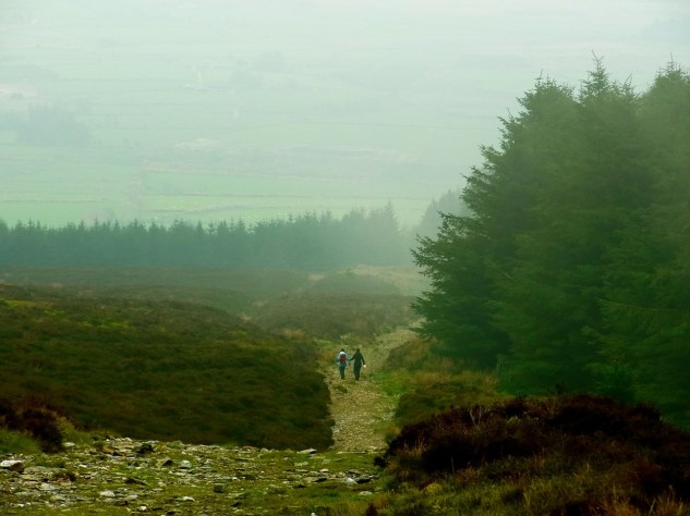 どんどん下ります。東側の谷が向こうに見えてきた。On continue à descendre... On aperçoit la vallée de l'autre côté, à l'est. 
