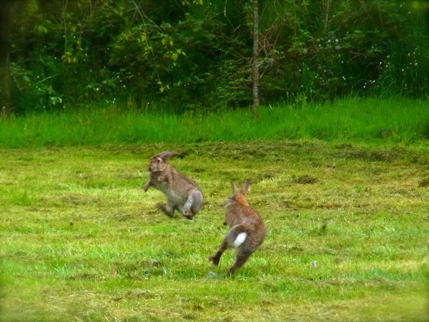 やった〜　ふたりいっしょ💓 あそぼうよ Youpppiiiiiii!!!! La grande fête!!!! 