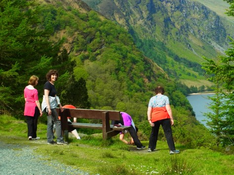 「ありゃりゃ? なにやってるんでしょ?」