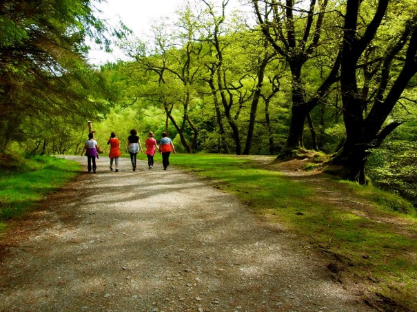 谷川沿いの道を下っていきます。また写真を撮ってて遅れてしまう。。。。