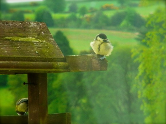 「まだですか〜？」