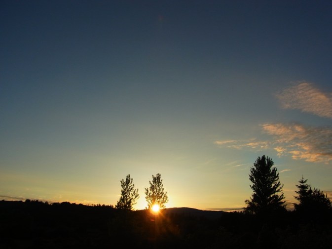 0527pm2104 よく働いて 美味しいレモンケーキを作って、庭の草取りをして、アイロンもちょっとかけて、バーニーちゃんとスーパーも行ったし・・・良い一日でした。