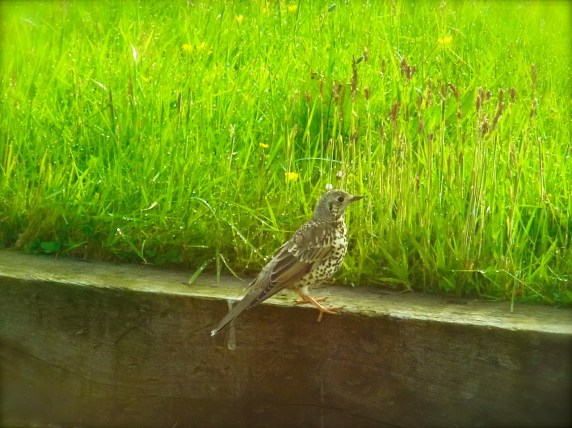 6月10日 朝8時42分。 10 juin, à 8h42.