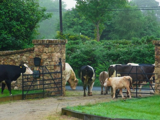 「帰りましょ」 'Bon ben... salut!'