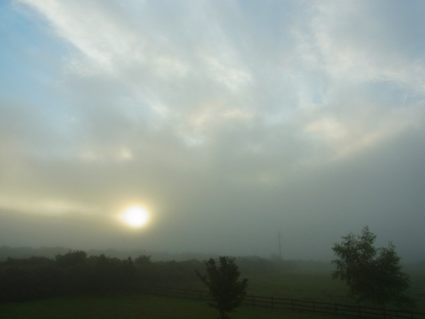 0627am0558　霧の朝。このあと、牛もーもー来襲するとはツユ知らず・・・　