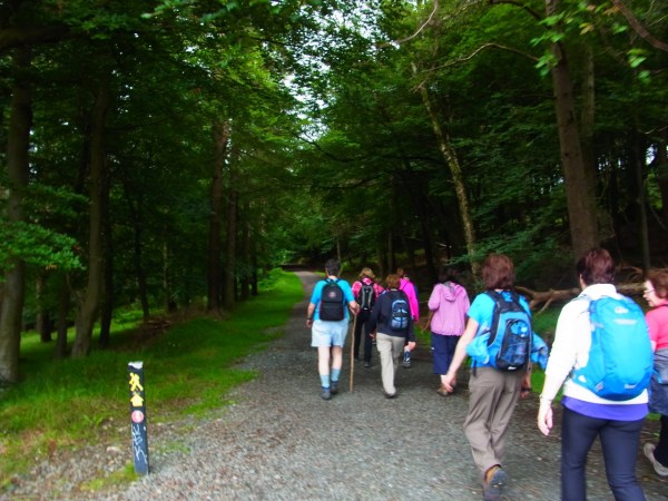 朝１０時１６分。森のなかを歩きはじめ。am1016