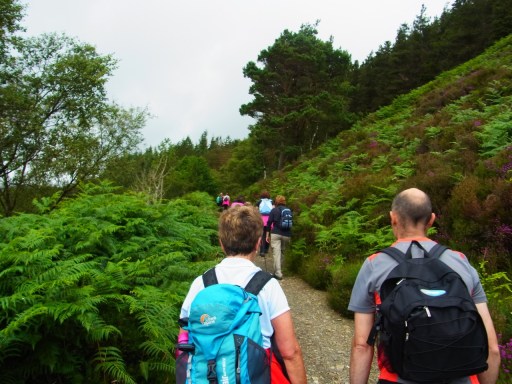 am1040　滝を見下ろす高台をさらに歩く。