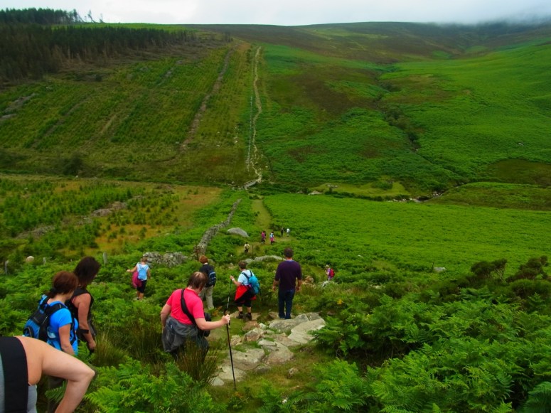 am1056　今度は谷を下り、向かい側の斜面を登ります。