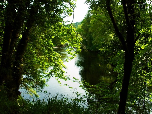 アヴォンモアの流れ。とても静かです。