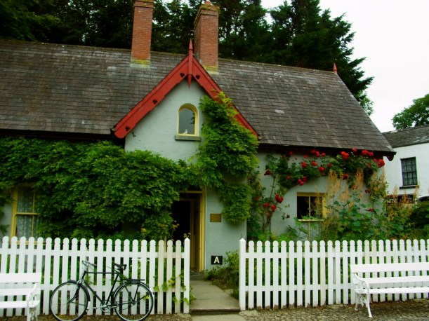 Chez le docteur お医者さんの家。