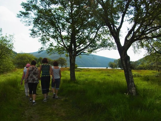 谷の道をこんどは少し湖のほうへ向かってまわりこんでいきます。On aura fait un grand tour pour nous diriger vers le lac.