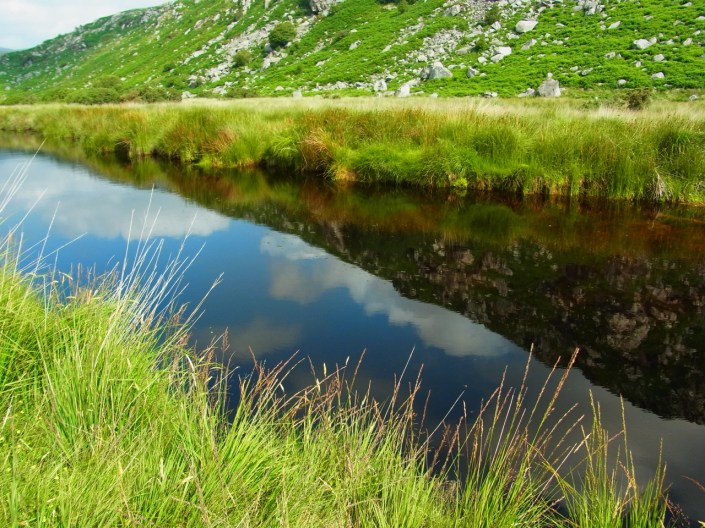 ところどころ湿地帯のようなところに湖からの水が切れ込んできています。
