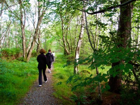 ９時４６分。村の真ん中に車をおいて、少し離れた貯水池まで歩きに行きました。池のまわりの林のなかの道。気持ちよくて平らで楽な散歩です。