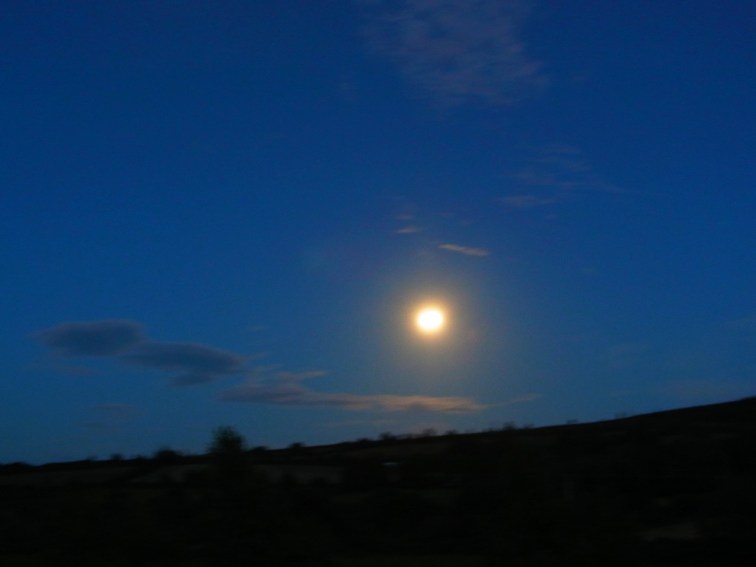 スーパームーンが美しい夜でした。