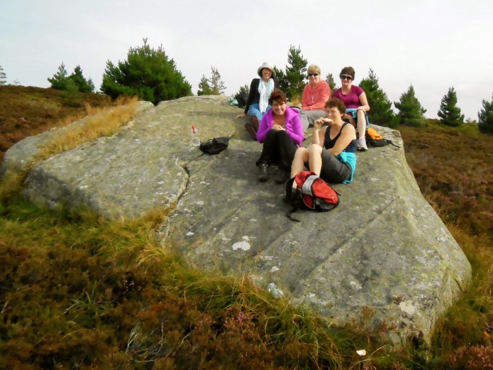 全体はこんなかたち。アンの撮ってくれた写真。